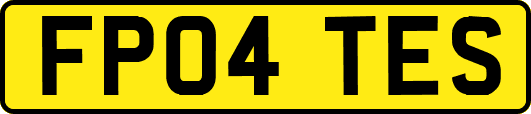 FP04TES