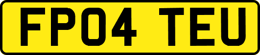 FP04TEU