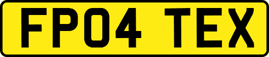 FP04TEX