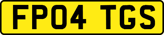 FP04TGS
