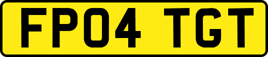 FP04TGT