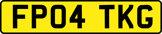 FP04TKG