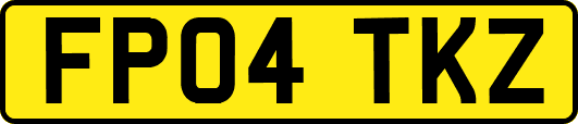 FP04TKZ