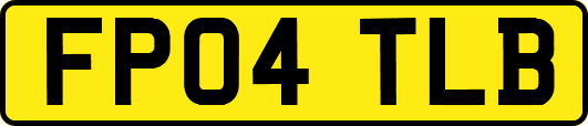 FP04TLB