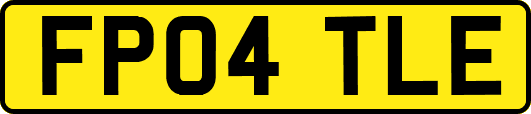 FP04TLE