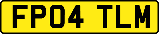 FP04TLM