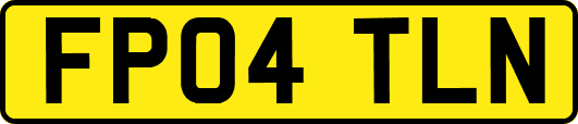 FP04TLN