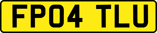 FP04TLU