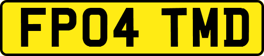 FP04TMD