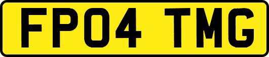 FP04TMG