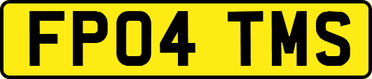 FP04TMS