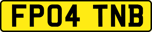 FP04TNB