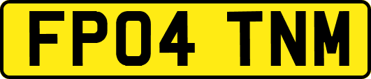 FP04TNM