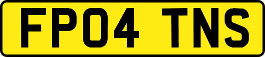 FP04TNS