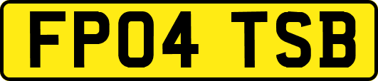 FP04TSB