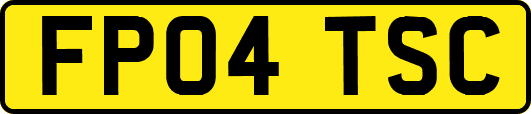 FP04TSC