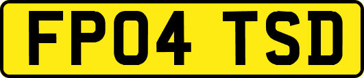 FP04TSD