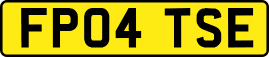 FP04TSE