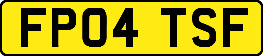 FP04TSF