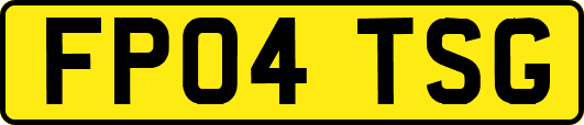 FP04TSG