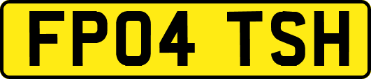 FP04TSH