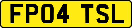 FP04TSL