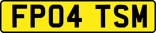 FP04TSM
