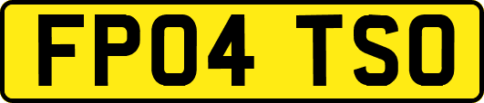 FP04TSO