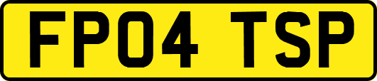 FP04TSP