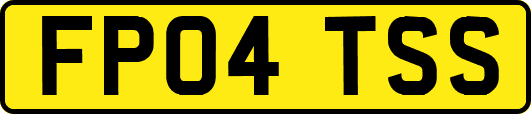 FP04TSS