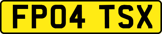 FP04TSX