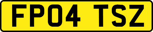 FP04TSZ