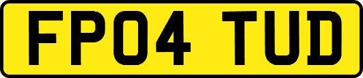 FP04TUD