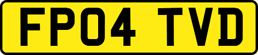 FP04TVD