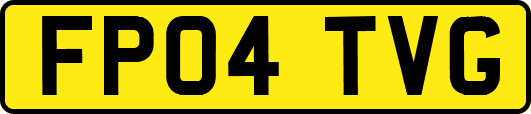 FP04TVG