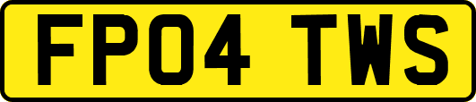 FP04TWS