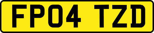 FP04TZD