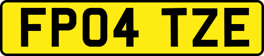 FP04TZE