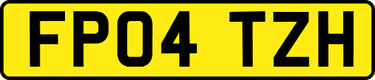FP04TZH