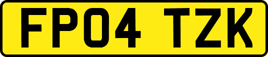 FP04TZK