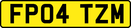 FP04TZM