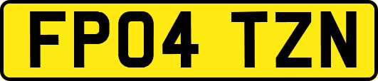 FP04TZN