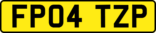 FP04TZP