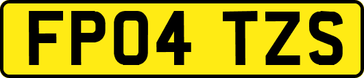 FP04TZS