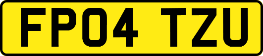 FP04TZU
