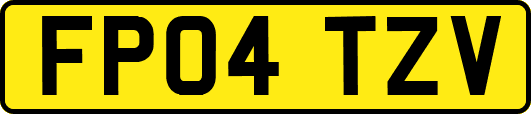 FP04TZV