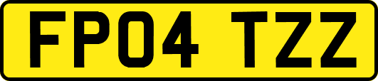 FP04TZZ