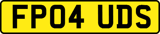 FP04UDS