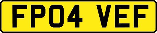 FP04VEF