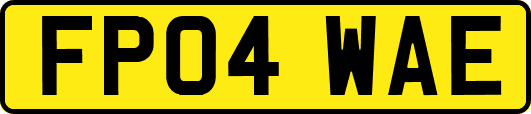 FP04WAE